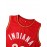 Men's Embroidered Polyester Basketball Jersey, Crew Neck, Loose Fit, Sports Style, for Casual & Athletic Wear, Perfect for Training, Hiking, Cycling, Fishing, Parties & Special Occasions - S-XXXL