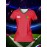 Customized Name & Number Women's V-Neck Football Jersey - Breathable Quick-Dry Moisture-Wicking Fabric, Team Emblem & Flag Design, Regular Fit for Team Training, Fitness, Casual Wear (Spring/Summer/Fall), Customized Jersey, Quickdrying Fabric